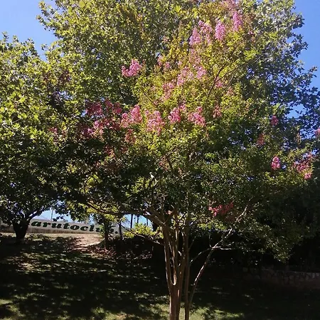 Do Sol トーレス・ヴェドラス