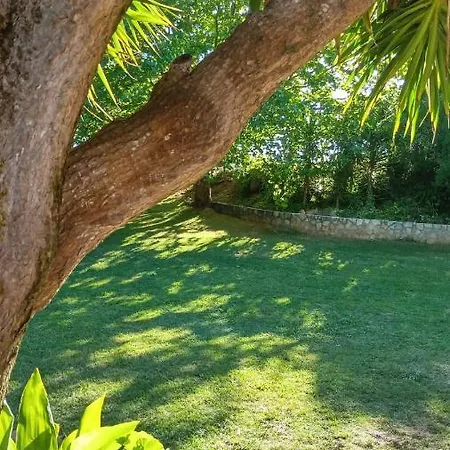 Campo de lujo Do Sol *