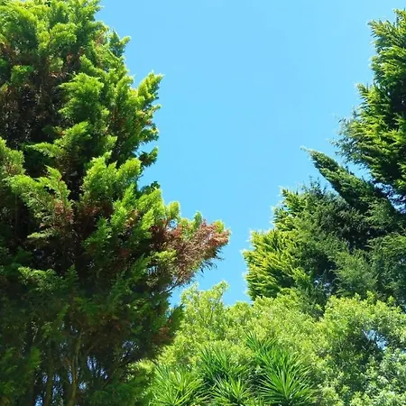 Do Sol Campo de lujo *