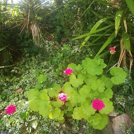 Do Sol ラグジュアリーテント トーレス・ヴェドラス