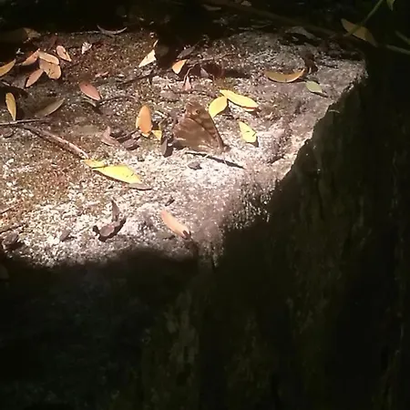 Do Sol * トーレス・ヴェドラス