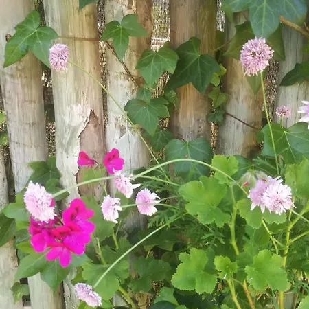 Do Sol ラグジュアリーテント トーレス・ヴェドラス