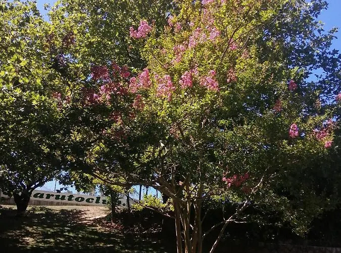 Do Sol Torres Vedras