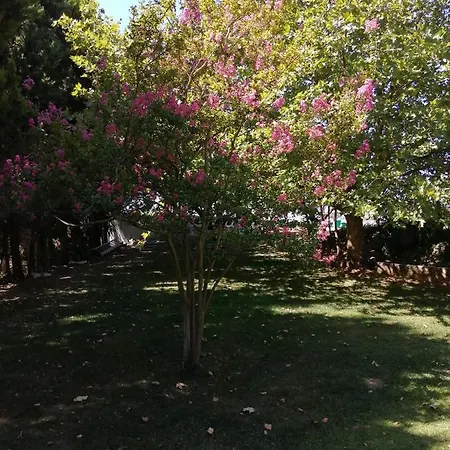 Do Sol Luxury tent Torres Vedras