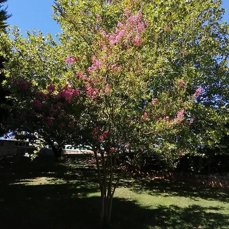 Do Sol خيمة فخمة