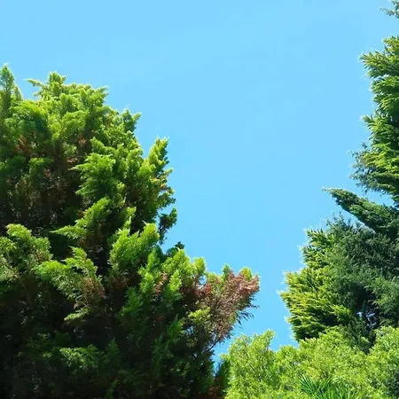 Do Sol * טורס ודראס