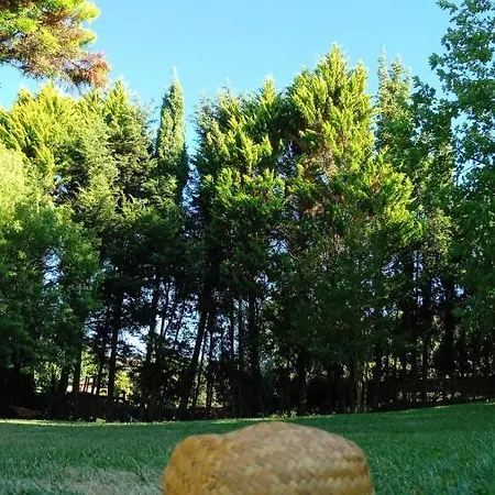 Luxury tent Do Sol *