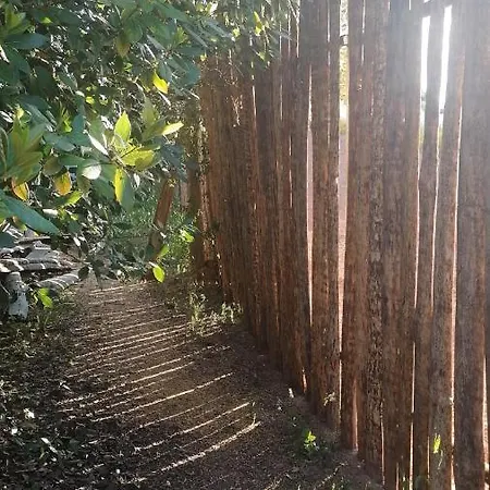 Do Sol * Torres Vedras