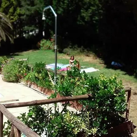 Do Sol טורס ודראס