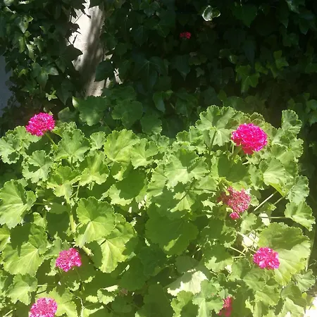אוהל מפואר Do Sol *