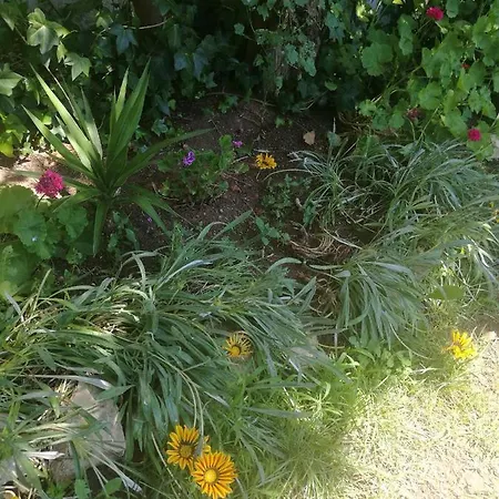 Do Sol Torres Vedras