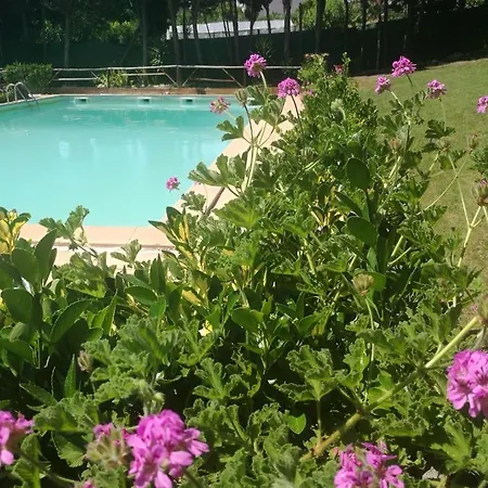 Do Sol * Torres Vedras