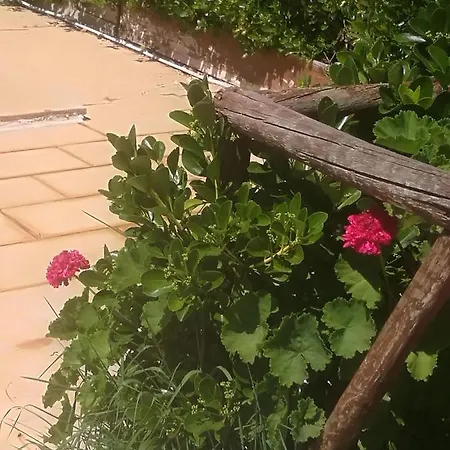 Do Sol Glamping Torres Vedras