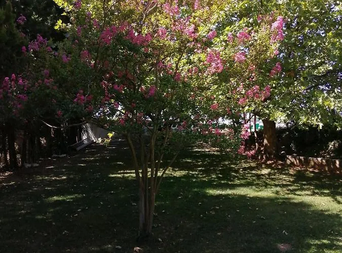 Do Sol Campo de lujo Torres Vedras