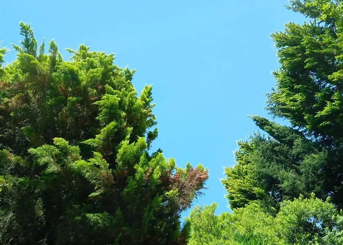 Do Sol * Torres Vedras