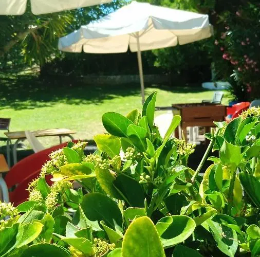 Do Sol Campo de lujo *