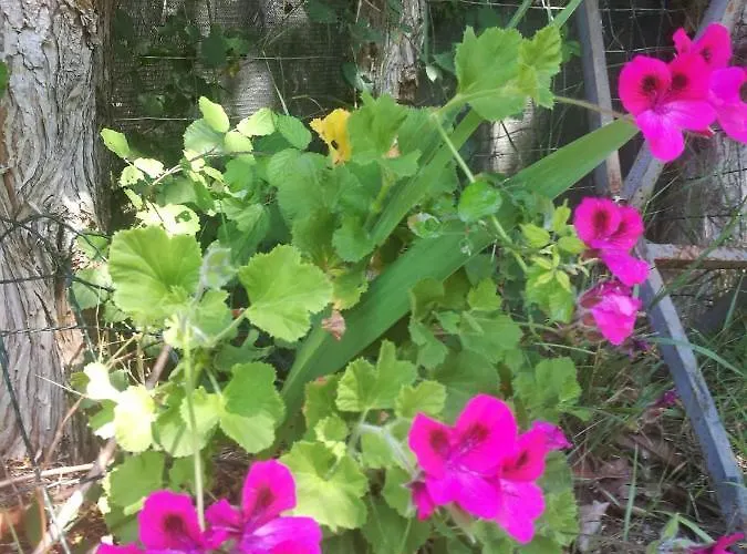 Do Sol Luxuszelt Torres Vedras