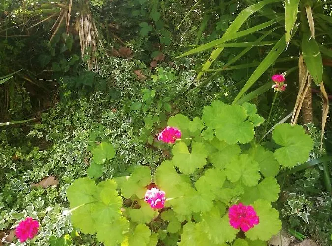 Do Sol Luxuszelt Torres Vedras