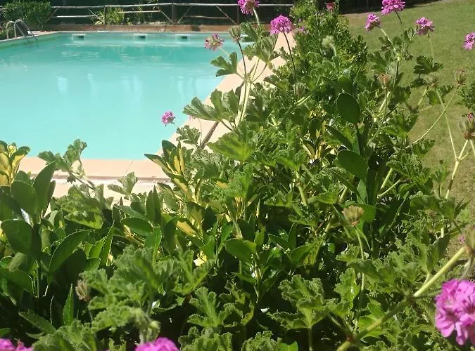 Do Sol * Torres Vedras