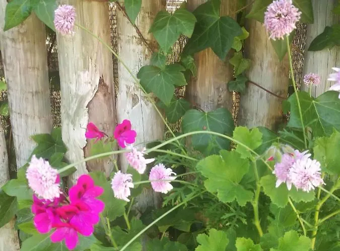 Do Sol Luxuszelt Torres Vedras